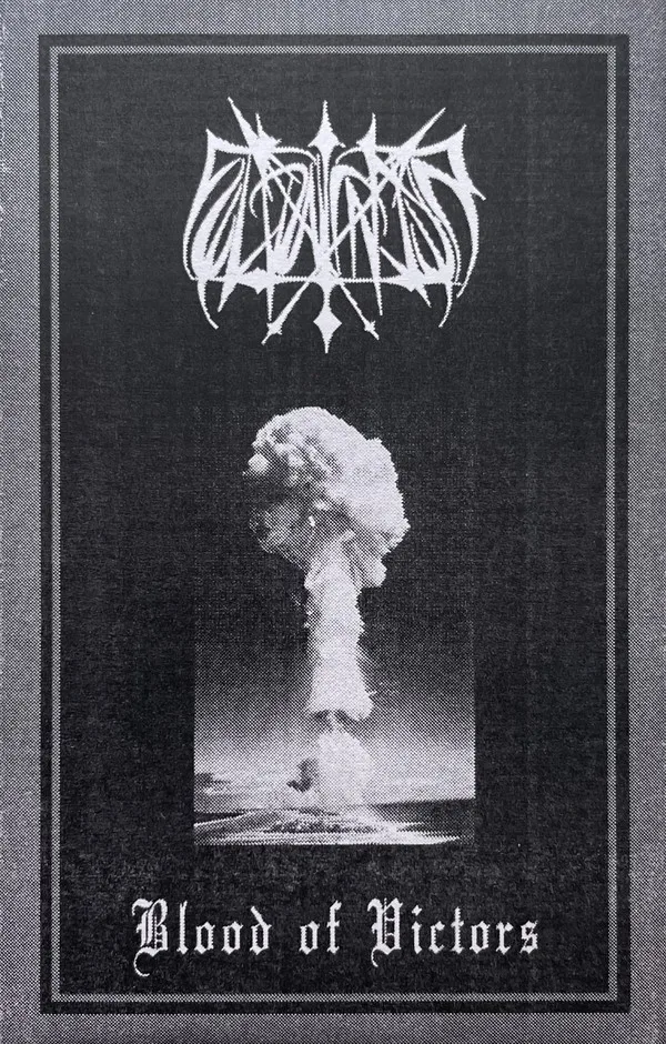 Blood of Victors cover