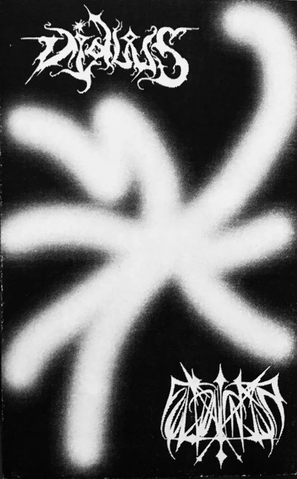 Viduus / Fellwinter cover