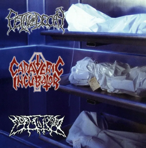 Cadaveric Incubator / Fetal Decay / Mortalized cover