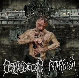 Fetal Decay / Filthy Flesh cover