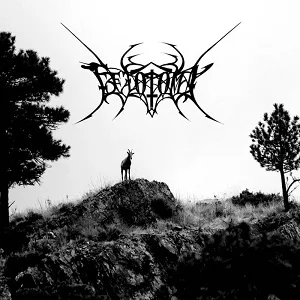 Fetotomy cover