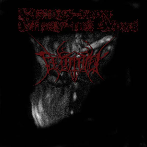 Visions from Within the Womb cover