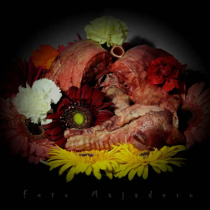 Feto majadero cover