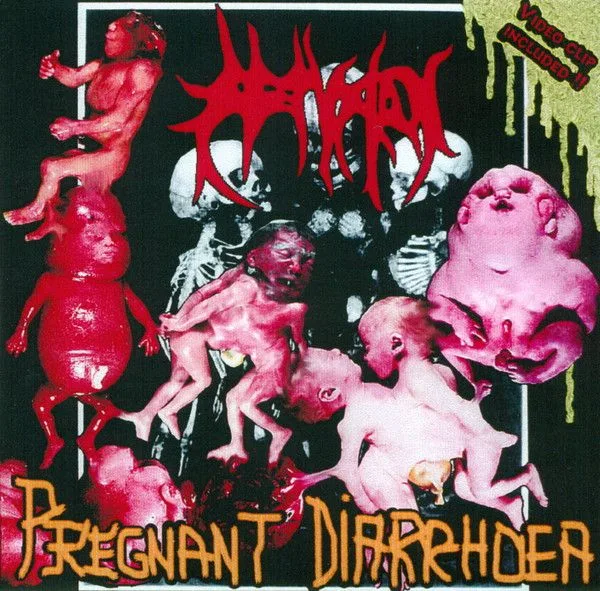 Pregnant Diarrhoea cover