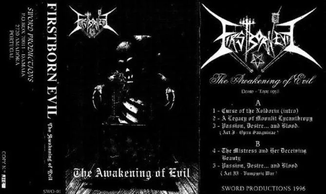 The Awakening of Evil cover