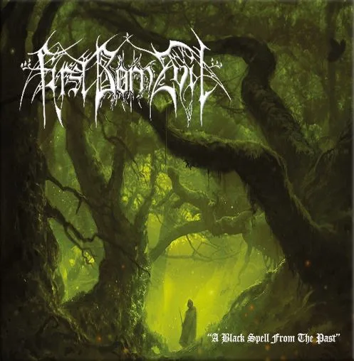 A Black Spell from the Past cover