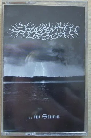 ...im Sturm cover