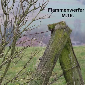 Musikalisches Demonstrationsmedium 2016 cover