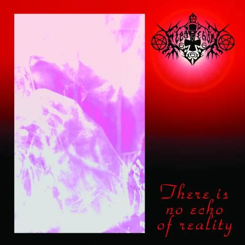 There Is No Echo of Reality cover