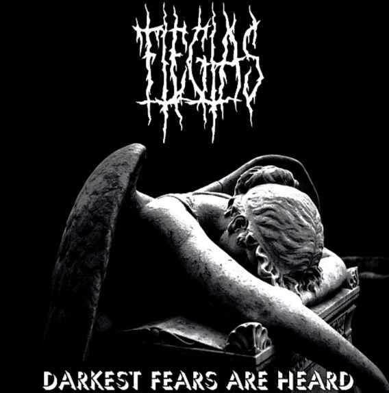 Darkest Fears Are Heard cover