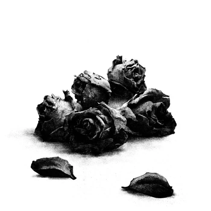 Reek of Death cover