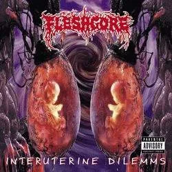 Interuterine Dilemms cover