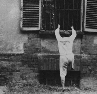 Fleshpress / Throat cover