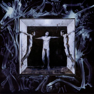 Tearing Skyholes cover