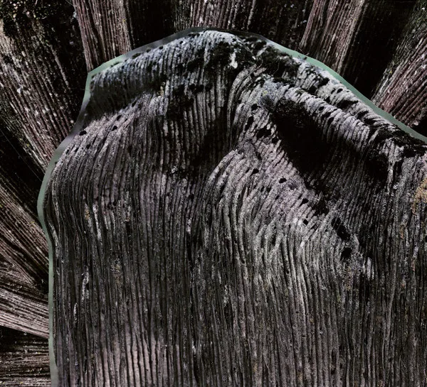 Viimeinen saavutettu tahto cover