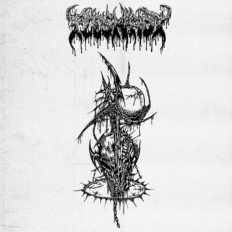 Wrapped in Entrails cover