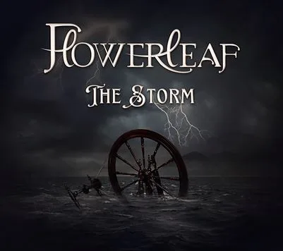 The Storm cover