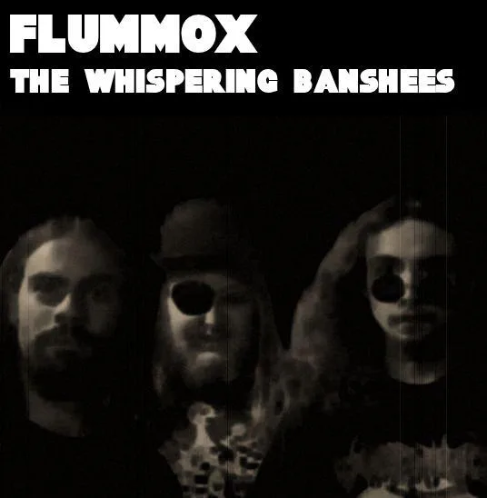 The Whispering Banshees cover