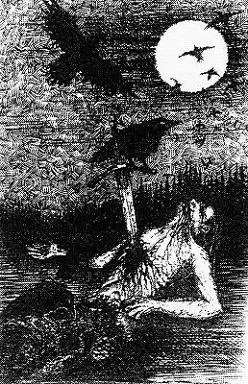 Een sinister schouwspel... cover