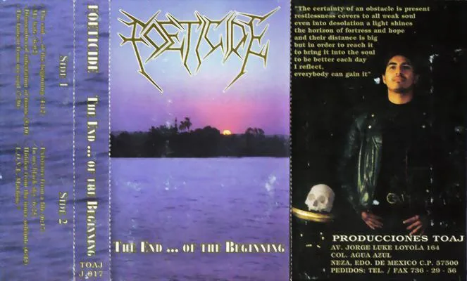 The End... of the Beginning cover