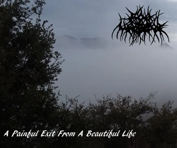 A Painful Exit from a Beautiful Life cover