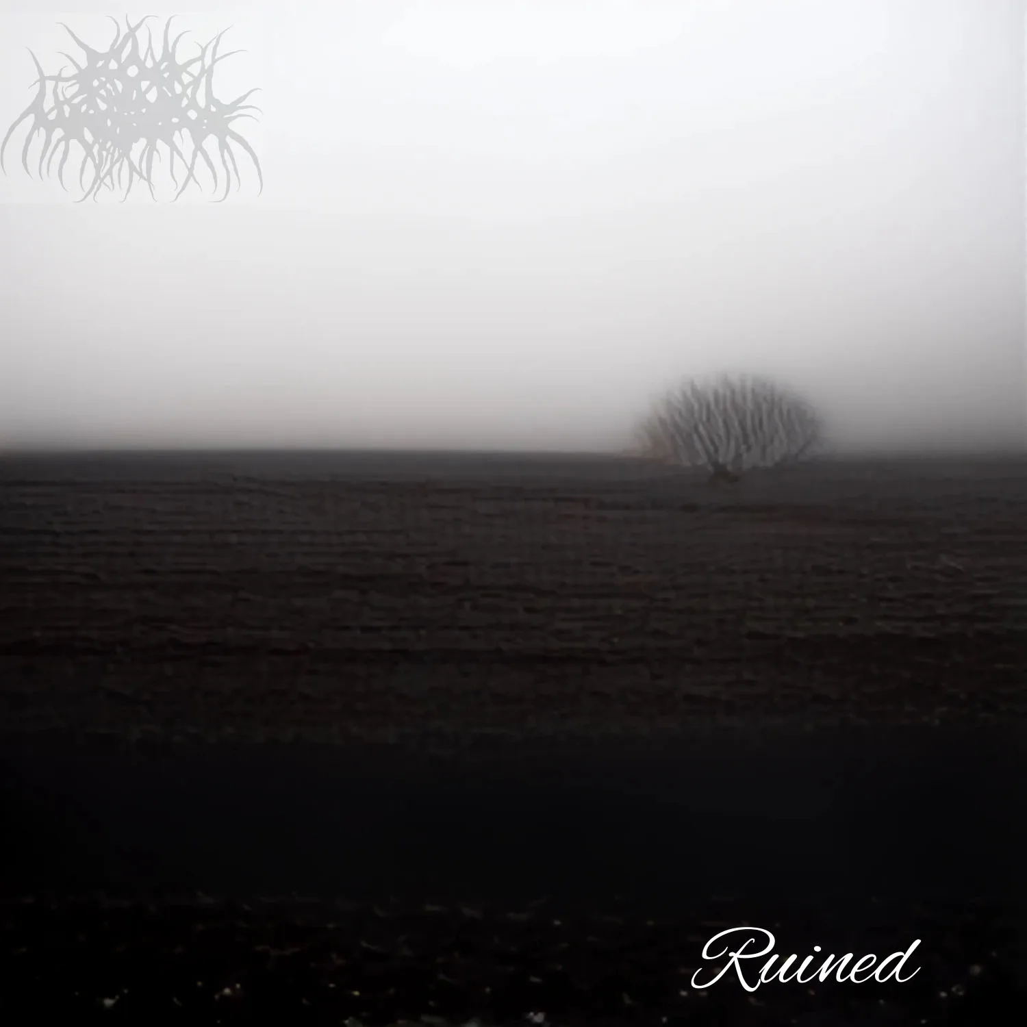 Ruined cover