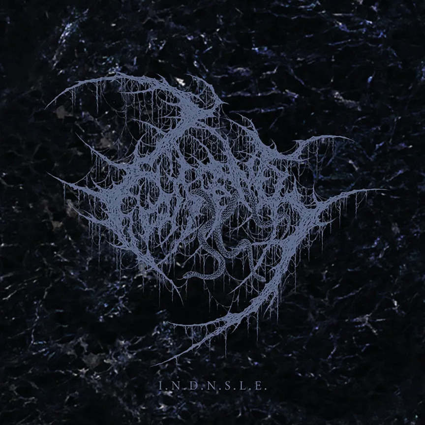 I.N.D.N.S.L.E. cover