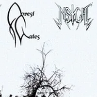 Forest Gates / Insight cover