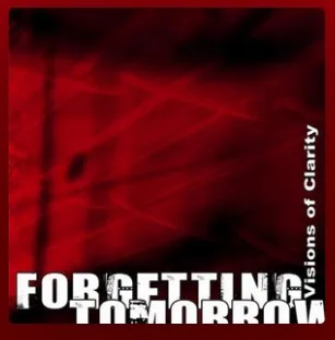 Visions of Clarity cover