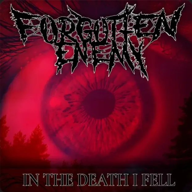 In the Death I Fell cover