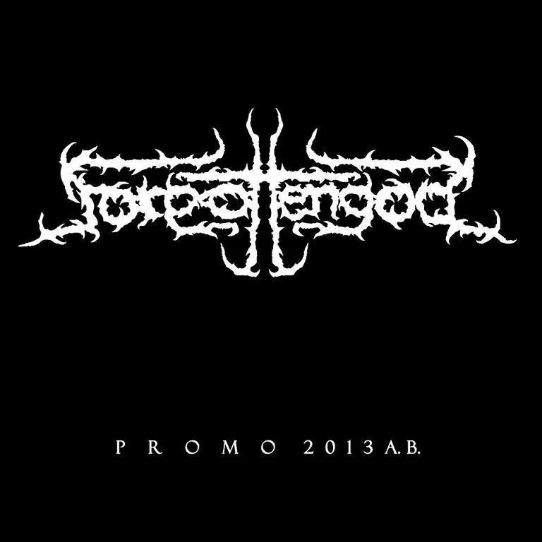 Promo 2013 A.B. cover