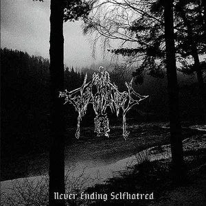 Never Ending Selfhatred cover