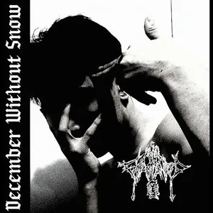 December Without Snow cover