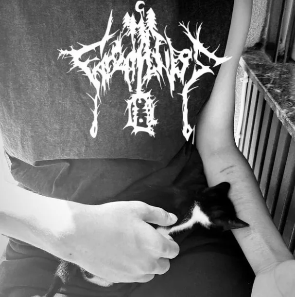 Farewell to Mert cover