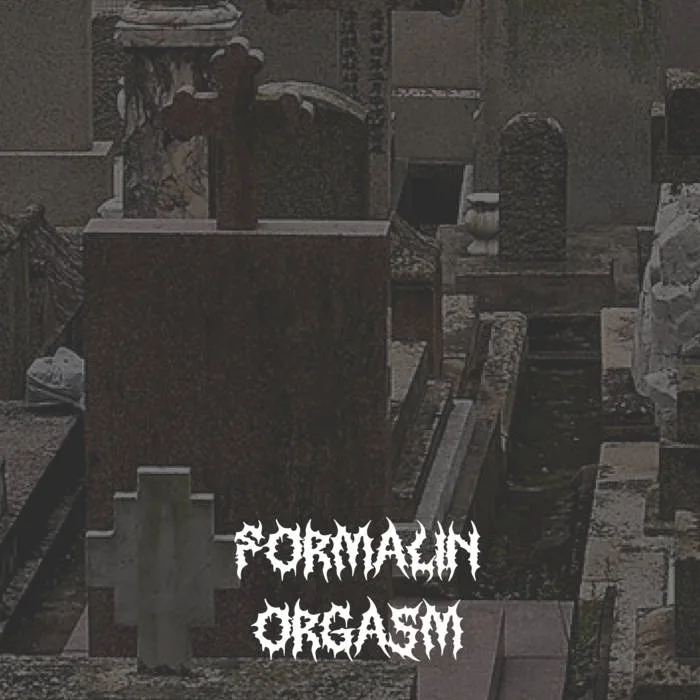 Formalin Orgasm cover
