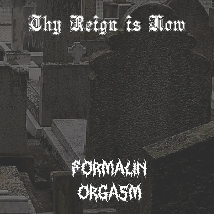 Thy Reign Is Now cover
