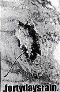 .Fortydaysrain. cover