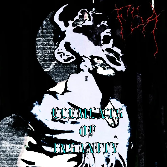 Elements of Insanity cover