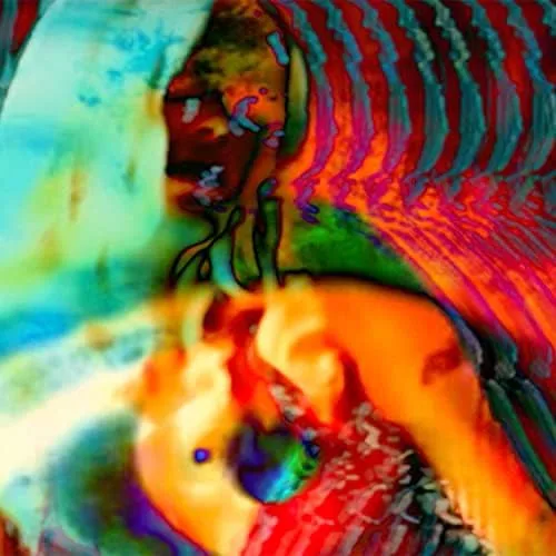 The Elements of Insanity cover