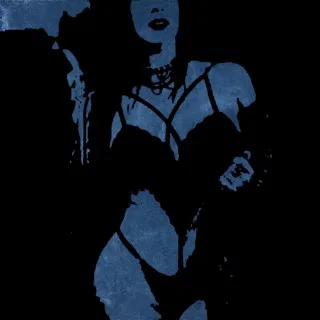 Narcissistic Society I, II & III cover