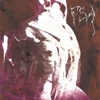 Necrophilia in the Midnight Fog cover