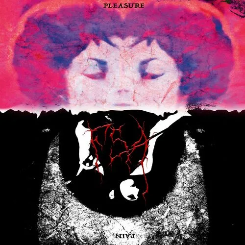 Pain & Pleasure cover