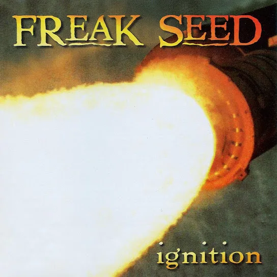 Ignition cover