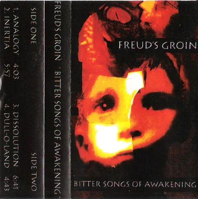 Bitter Songs of Awakening cover