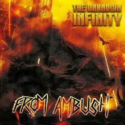 The Unknown Infinity cover