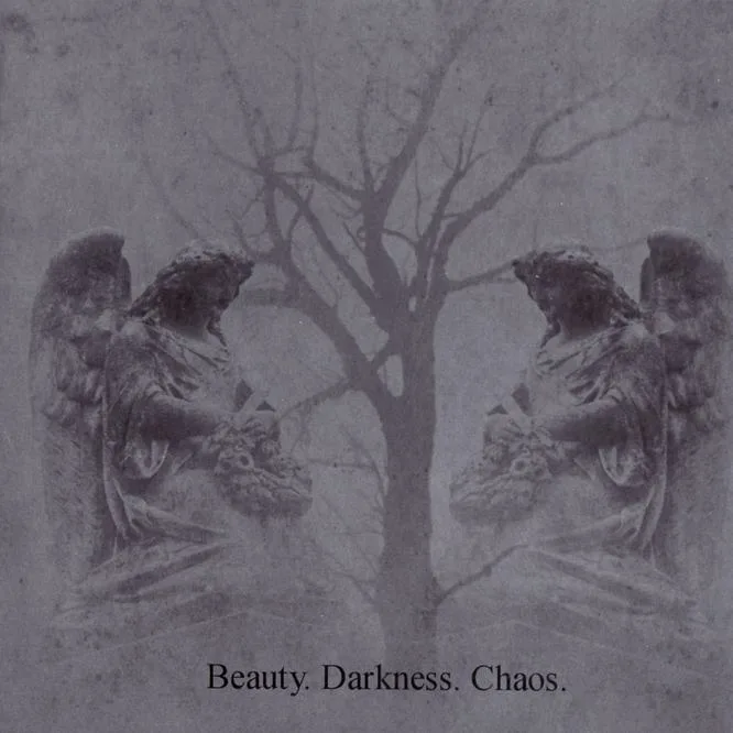 Beauty. Darkness. Chaos. cover