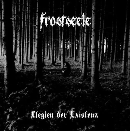 Elegien der Existenz cover