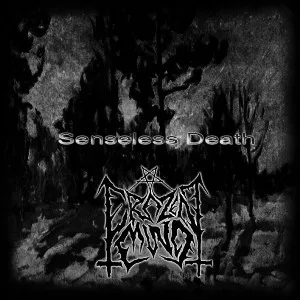 Senseless Death cover
