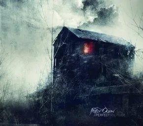 A Perfect Solitude cover