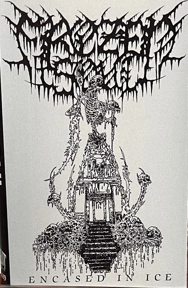 Encased in Ice cover